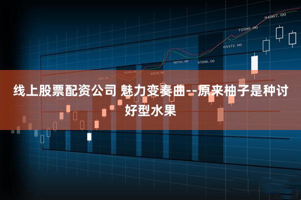 线上股票配资公司 魅力变奏曲--原来柚子是种讨好型水果